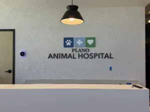 Lobby 1
